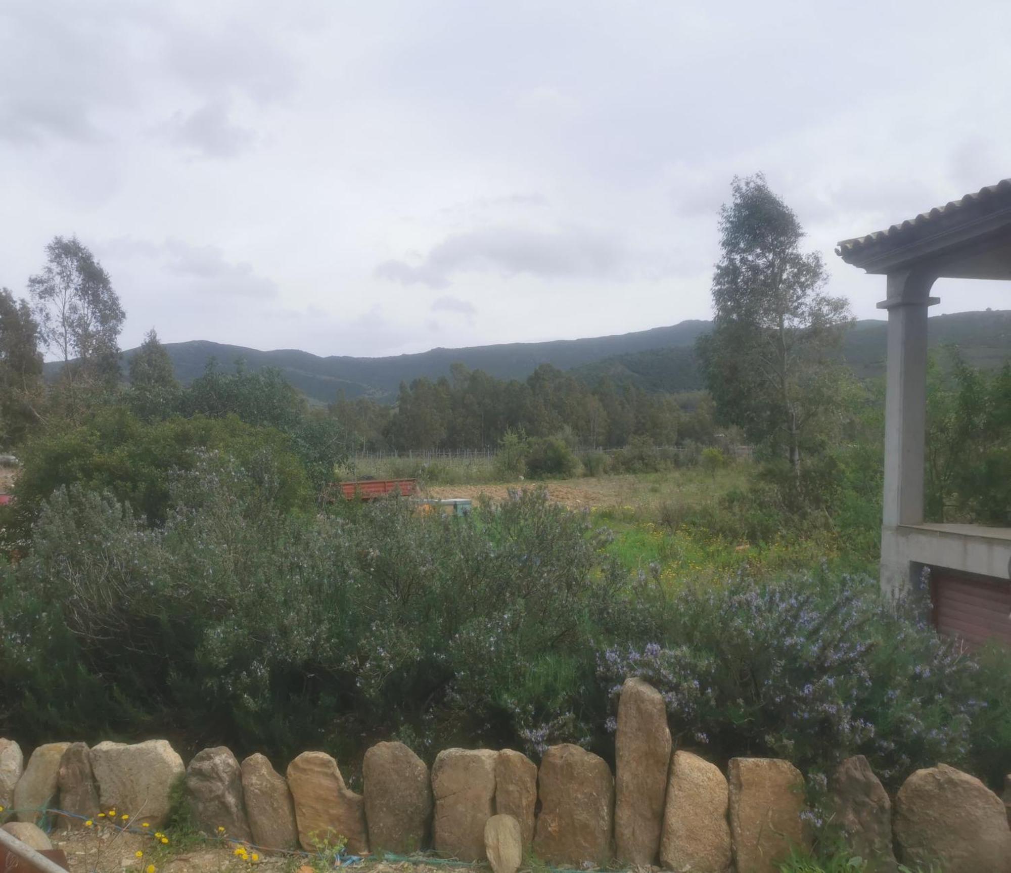 הוילה סיניסקולה Localita Zarvenu מראה חיצוני תמונה